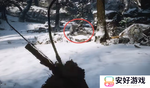 黑神话悟空龙胆种子获取位置