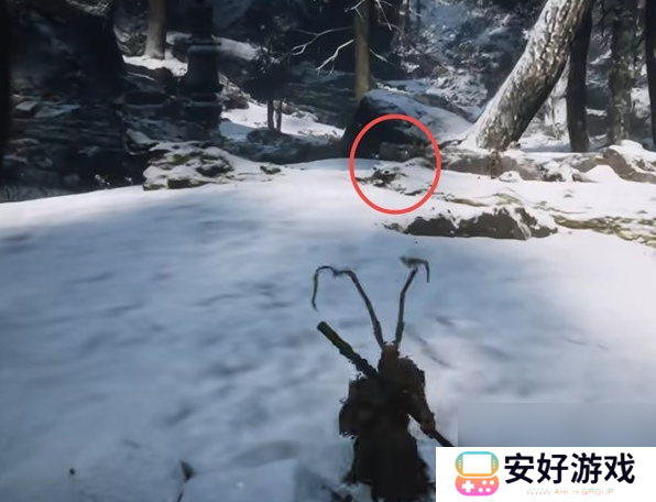 黑神话悟空龙胆种子获取位置