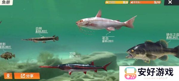 欢乐钓鱼大师礼包码2024最新 欢乐钓鱼大师兑换码大全