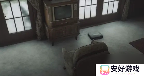 寂静岭2重制版虫子房间离开攻略