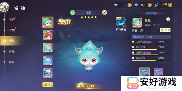 天启圣源宠物搭配攻略 天启圣源宠物怎么搭配好