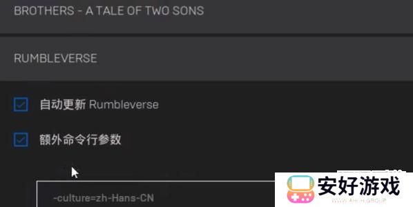 耻辱终极版怎么设置中文