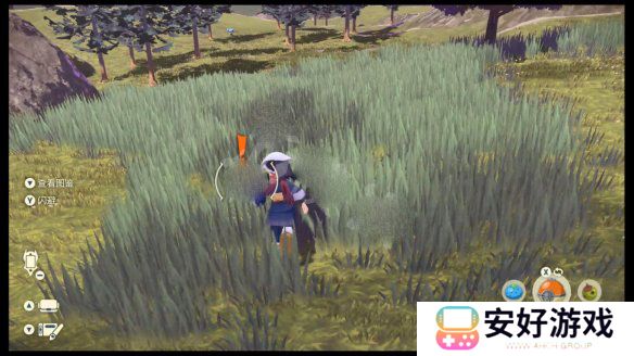 宝可梦传说阿尔宙斯正版