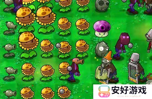 植物大战僵尸杂交版挑战第40关如何闯关 植物大战僵尸杂交版挑战模式第40关通关攻略