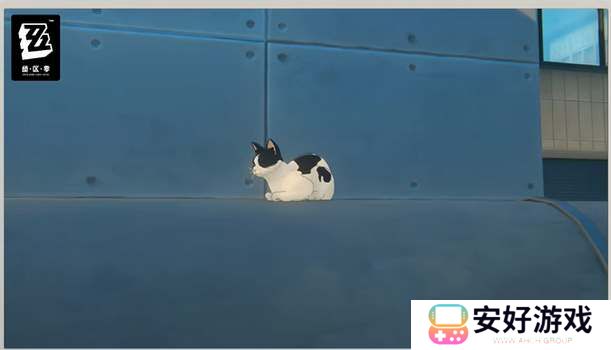 绝区零奶盖猫咪位置攻略