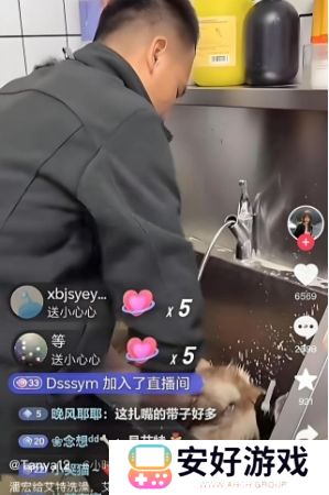 训狗一哥潘宏又出事，要求主人签“天价合同”，网友：这波站潘宏