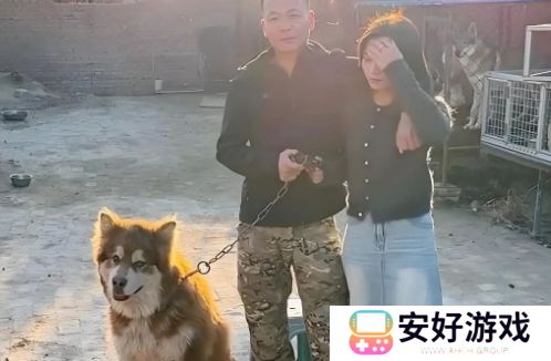 训狗一哥潘宏又出事，要求主人签“天价合同”，网友：这波站潘宏