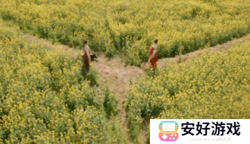 《掌心》采莲身死,霓裳退出,叶平安被埋,复仇小分队遭散伙危机