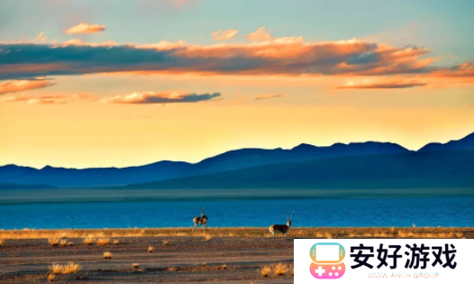 双鱼视频app下载最新版 双鱼视频app下载最新版