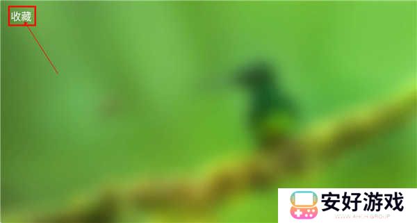 春天影视盒子截图