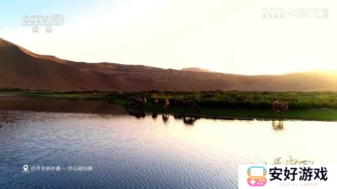 太阳直播TV版电视盒子版 太阳直播TV版电视盒子版
