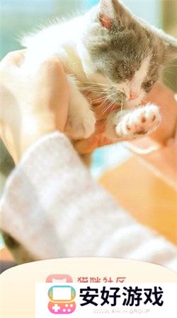 猫咪社区gps